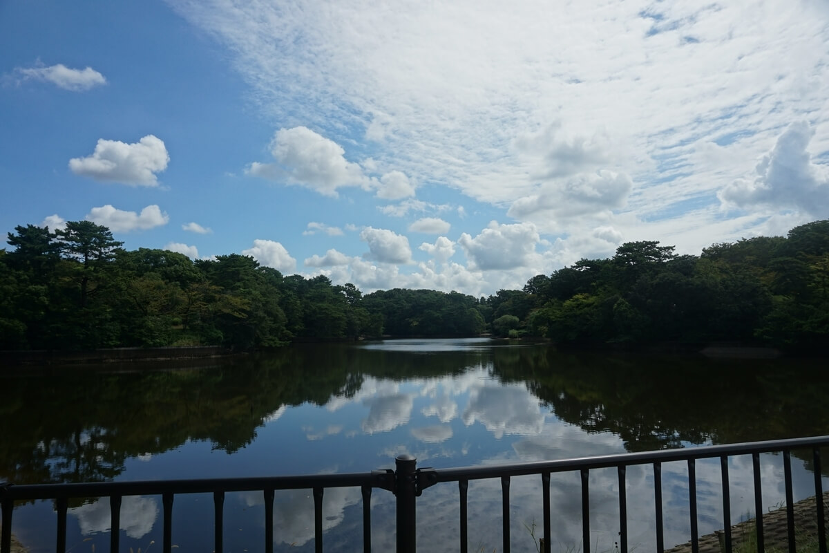 featured image thumbnail for post 【愛知県・東海市】無料動物園あり♪『大池公園』